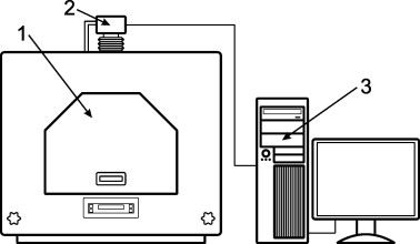 fotografía de la uva