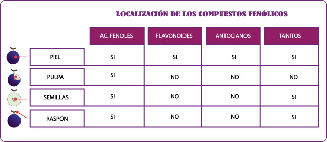 compuestos-fenolicos
